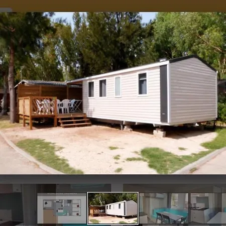 Campsite Camping Les Palmiers 4**** Hyeres