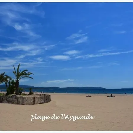 Camping Les Palmiers 4**** Kemping